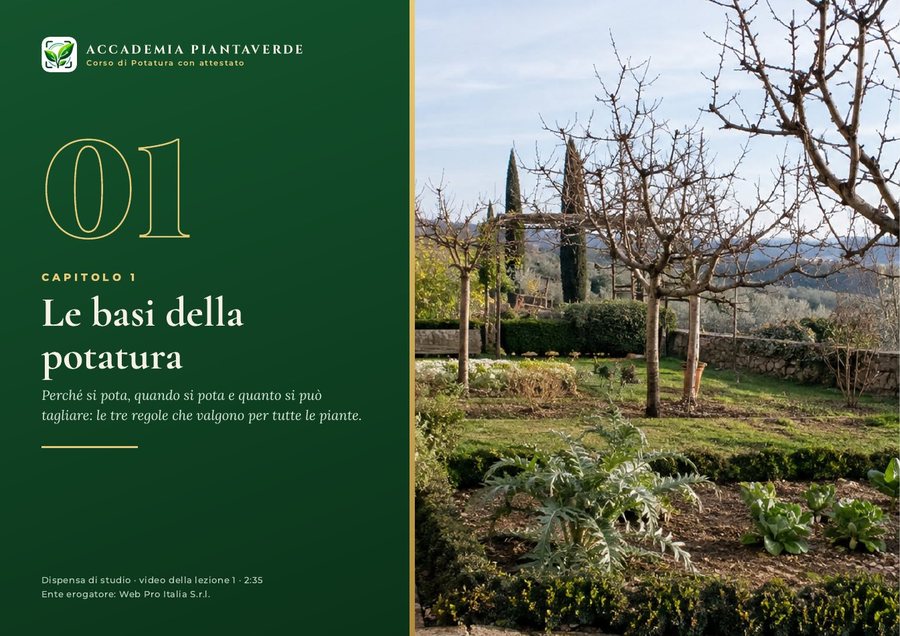 Copertina del capitolo 1