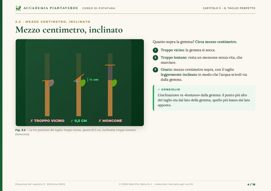 Pagina del capitolo 3: mezzo centimetro, inclinato