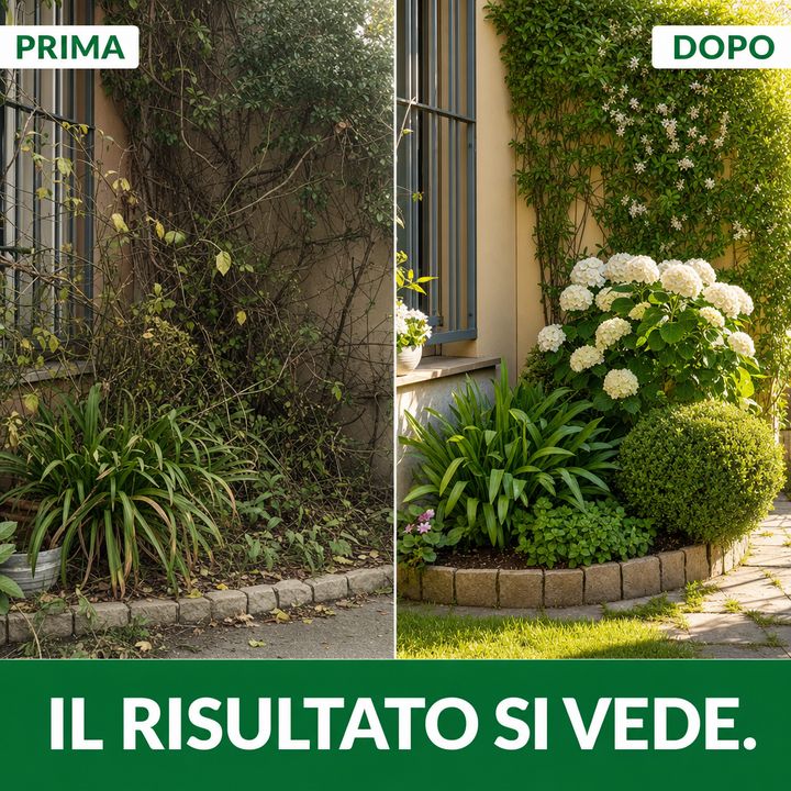 Piantaverde: il risultato si vede