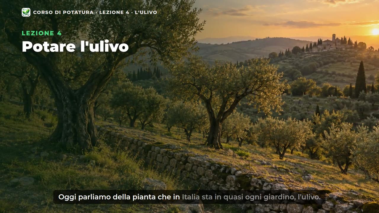 Una videolezione del corso